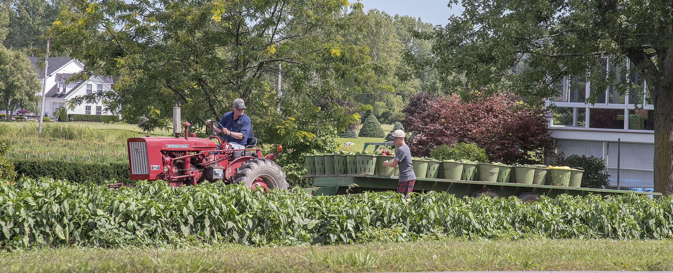 190826 Harvest Enterprise.jpg